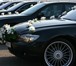 Фото в Авторынок Авто на заказ Ваша красивая свадьба на нашем авто :)Готовый в Калининграде 1 000