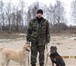 Изображение в Домашние животные Услуги для животных Профессиональная дрессировка собак в Ярославле 200