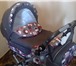 Foto в Для детей Детские коляски Продам детскую коляску Roan Kortina 2 в 1 в Протвино 5 500