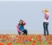 Фото в Отдых и путешествия Туры, путевки Цветение тюльпанов в степи очень красивое, в Армавире 1 990