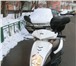 Фото в Авторынок Скутер Срочно продается скутер 2012 года выпуска, в Москве 30 000