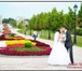 Изображение в Развлечения и досуг Организация праздников Свадебный и семейный фотограф Домодедово, в Москве 2 200