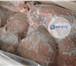 Фото в Прочее,  разное Разное Мясо индейки оптом. тушки и разделка!ЗвонитеООО в Москве 99