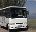 Фото в Авторынок Аренда и прокат авто Сдаем в аренду комфортабельный автобус IVECO в Волгограде 800