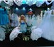 Изображение в Прочее,  разное Разное Продаю товар для свадебного салона, с оборудованием в Ростове-на-Дону 850 000
