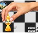 Изображение в Образование Преподаватели, учителя и воспитатели Обучение шахматам и шашкам в Зеленограде в Зеленоград 800