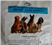 Фотография в Домашние животные Корм для собак Корма для собак и кошек «Bisko» производятся в Лиски 135