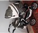 Фото в Для детей Детские коляски Продам детскую коляску б/у в хорошем состоянии. в Тамбове 6 000