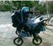 Foto в Для детей Детские коляски продается!Детская коляска Adamex Yaris 3 в Краснодаре 4 000