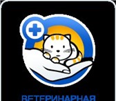 Foto в Домашние животные Товары для животных Ветеринарная аптека доктора Чулковой - это в Волгограде 0