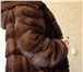 Изображение в Одежда и обувь Женская одежда Шикарная норковая шуба с капюшоном из СКАНДИНАВСКОЙ в Владивостоке 99 500
