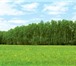 Изображение в Недвижимость Земельные участки Земельный участок в коттеджном поселке «Лесное в Серпухове 480 000