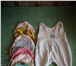 Изображение в Для детей Товары для новорожденных Продам дет.вещи: шапочки, штанишки, боди, в Тольятти 300