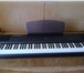 Фотография в Хобби и увлечения Музыка, пение Новое цифровое пианино Kurzweil MPS20 является в Калуге 30 000