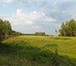 Фотография в Недвижимость Коммерческая недвижимость Продается отличный земельный участок сельхоз. в Рязани 320 000