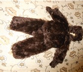 Фото в Для детей Разное продам костюм медведявозраст 4-5 лет,в хорошем в Томске 2 500