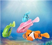 Foto в Для детей Детские игрушки РобоРыбки (RoboFish).Отличная игрушка во в Новосибирске 0