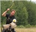 Продажа щенков ВЕО 2452029 Восточно-европейская овчарка фото в Великом Новгороде