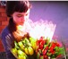 Изображение в Домашние животные Растения Тюльпаны к 8 марта , вся палитра цветов, в Сочи 25