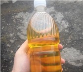 Изображение в Прочее,  разное Разное Продам масло подсолнечное нерафинированное в Москве 75