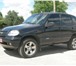 Chevrolet Niva,  2008 год 3837308 Chevrolet Niva фото в Уфе