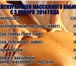 Фотография в Красота и здоровье Массаж Антицеллюлитный массаж,Массаж живота, Массаж в Москве 1 000