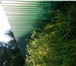 Фотография в Недвижимость Земельные участки Подаю зем.участок (был дом)в деревне Лазарево в Нижнем Новгороде 550 000