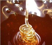Фотография в Прочее,  разное Разное Мёд (разнотравье, липа)-урожай июль, а так в Твери 450