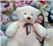 Фотография в Для детей Детские игрушки Супер распродажа больших плюшевых медведей, в Нижнем Новгороде 2 500