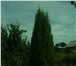 Фотография в Недвижимость Коммерческая недвижимость Продам земельный участок 15 соток на массиве в Ижевске 240 000