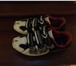 Фотография в Одежда и обувь Спортивная одежда для занятий велоспортом
Кроссовки northwave в Пензе 1