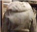 Фотография в Одежда и обувь Женская одежда женская дубленка с воротником из меха рыси. в Кемерово 5 000