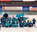 Изображение в Спорт Спортивные школы и секции Хоккейная школа PIRATES HOCKEY SCHOOL ведет в Санкт-Петербурге 6 000