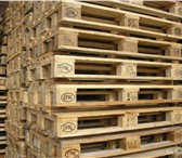 Изображение в Строительство и ремонт Строительные материалы куплю новые и б/у поддоны от 100 штук(цена в Москве 230