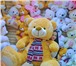 Фото в Для детей Детские игрушки Супер распродажа больших плюшевых медведей, в Нижнем Новгороде 2 500