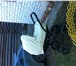 Фотография в Для детей Детские коляски продается коляска Tutis zippi 2 в 1 на классической в Муроме 12 000