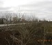 Фото в Недвижимость Земельные участки Адрес участка: Пермский край, Кунгурский в Перми 15 000