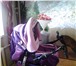 Фотография в Для детей Детские коляски Коляска зима-лето. Цвет фиолетовый. Дополнительно в Перми 4 500