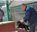 Щенки ягдтерьера от рабочих дипломированных собак 1660385 Ягд-терьер фото в Москве