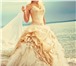 Фото в Одежда и обувь Свадебные платья ПРОДАМ СВАДЕБНОЕ платье Lorange цвета шампанского, в Новосибирске 12 000