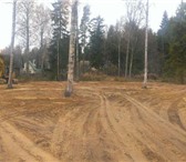 Foto в Прочее,  разное Разное Спил опасных деревьев, планировка участков в Череповецке 1 000
