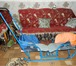 Foto в Для детей Детские коляски продам коляску зима-лето для двойняшек, цвет в Прокопьевске 6 000