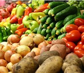 Изображение в Прочее,  разное Разное Свежие грибы и овощи. Доставка по Саратову в Саратове 0