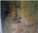 Фото в Хобби и увлечения Антиквариат картина в.п.батурин охотник с собакой на в Москве 13 000 000