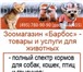 Foto в Домашние животные Товары для животных Широкий спектр товаров, услуг для животных. в Москве 0