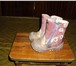 Foto в Для детей Детская обувь продам зимние сапоги для девочки, TATOO, в Красноярске 1 000