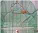 Фото в Домашние животные Другие животные В связи с переездом продам волнистого попугайчика, в Владивостоке 1 500