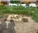 Фото в Недвижимость Продажа домов Продется красивый жилой дом 120 м² близ д. в Калуге 6 500 000