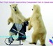 Фотография в Для детей Детские коляски Санки-коляска Кристи «ЛЮКС» является самой в Перми 0