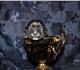 Питомник молосс де корнелио из Ростова-н